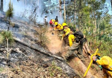 Sofocan incendios forestales en 14 municipios del Estado; probable autoría del crimen organizado
