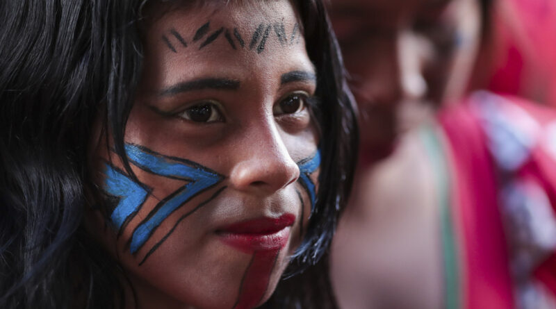 Indígenas brasileños exigen al gobierno de  Lula da  Silva celeridad en la demarcación de sus tierras