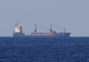 Diferendo de activistas con España por el arribo de un buque con armas a Israel; gobierno lo niega