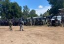 Fuego consume una nave de 100 metros en granja Alpera en Tepic; 7 mil pollos pierden la vida