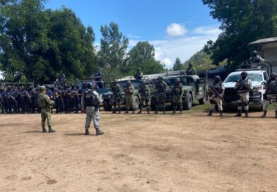 Fuego consume una nave de 100 metros en granja Alpera en Tepic; 7 mil pollos pierden la vida