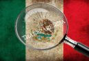 Excluyen a la sociedad civil y a ONG’s del foro de los 10 años del Sistema Nacional Anticorrupción: Mexiro A.C.
