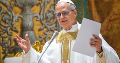 León XIV “seguirá los mismos pasos que Francisco”: John Prevost; “no se quedara con los brazos cruzados”