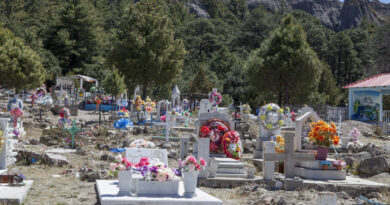 Falla forense en Guanajuato: entregan cuerpo descuartizado que no correspondía