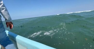 Omisión e impunidad de la paraestatal. Indígenas y pescadores exigen a Pemex atender daños en Pajapan