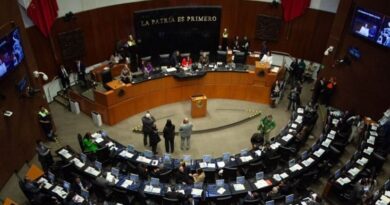 ¿Triunfalismo en Palacio Nacional? Senado frena tres cambios en el ‘Plan B‘ de Sheinbaum