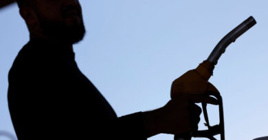 Pactan gobierno federal y empresarios gasolineros mantener a 28 pesos el litro de diésel