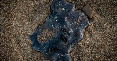 Urge remediación ambiental en playas del Golfo por manchas grandes y medianas de hidrocarburos   