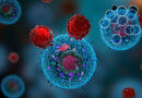 ¿Adiós al cáncer? La ciencia descubre que el agotamiento inmunitario tiene una llave química inesperada