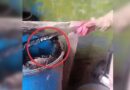 Buscadoras localizan reactivación de una fosa y un crematorio clandestino en Lagos de Moreno