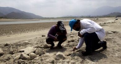 Iglesia católica coincide que ONU declare crímenes de ”lesa humanidad” en México; crítica tortuguismo