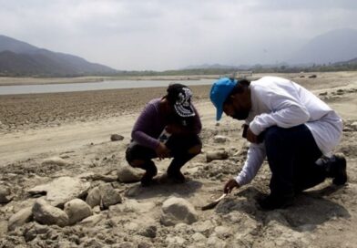 Iglesia católica coincide que ONU declare crímenes de ”lesa humanidad” en México; crítica tortuguismo