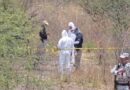 Impunidad galopante en Guanajuato: hallan 7 cuerpos en fosa clandestina de un predio de Villagrán