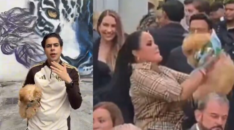 Kramer vs. Kramer: Jefe de Asesores de Monreal deslinda demanda vs. su madre por maltrato animal