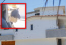 Mensaje a Rocha: exhiben en video a Sicario que ataca balazos una de las casas del gobernador con licencia