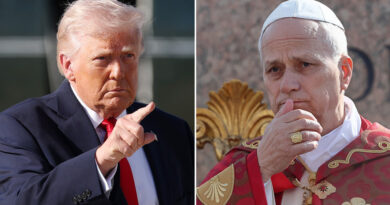 Escaramuza con Trump: papa afirma que si lo quieren criticar por “predicar la paz” que lo hagan
