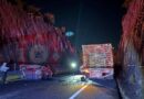 Tragedia en Jalisco: choque múltiple  en tramo carretero deja 2 muertos y 30 heridos