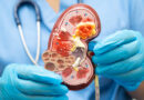 Desarrollan fármaco para regenerar tejido cardiaco y la enfermedad renal crónica: estudio