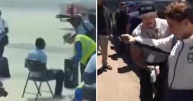 Las dos caras de México y EU en el Mundial: España es recibida con mariachis; Senegal con perros 