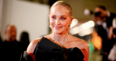 Matrimonio de Sharon Stone se acabó por el nulo apoyo de su esposo por una mastectomía bilateral