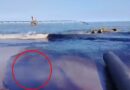 Nuevo derrame de los ductos de Pemex en Salina Cruz, Oaxaca: pescadores; afecta la fauna marina