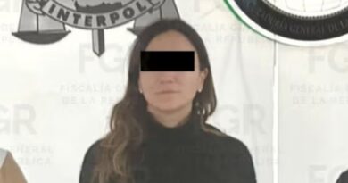 Caso Agronitrogenados: hermana de Emilio Lozoya es detenida por presunto lavado de dinero
