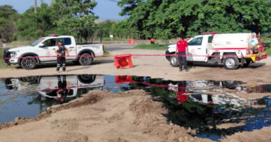 Otro derrame en los ductos viejos de Pemex en Salinas Cruz, Oaxaca, afecta la fauna; suman 8