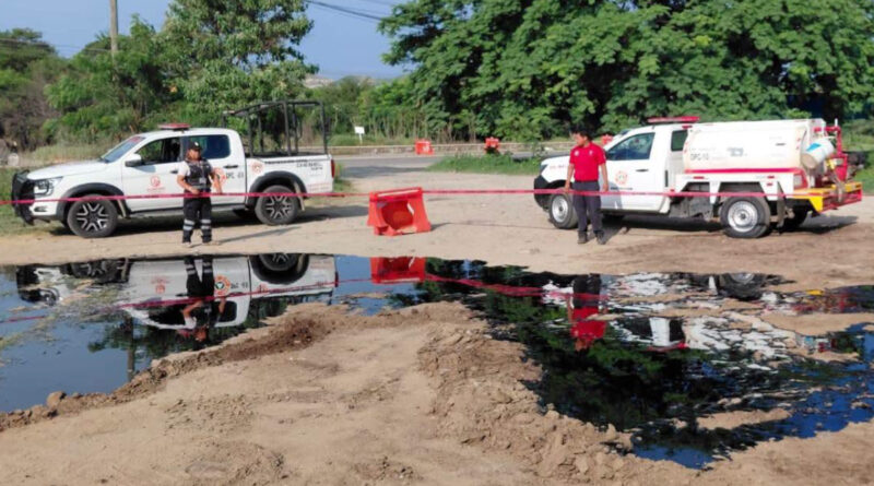 Otro derrame en los ductos viejos de Pemex en Salinas Cruz, Oaxaca, afecta la fauna; suman 8