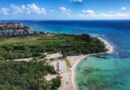De México a Reino Unido: Cofepris niega presencia de la Cyclospora en la Riviera Maya y Cancún