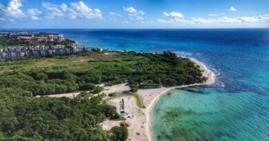 De México a Reino Unido: Cofepris niega presencia de la Cyclospora en la Riviera Maya y Cancún