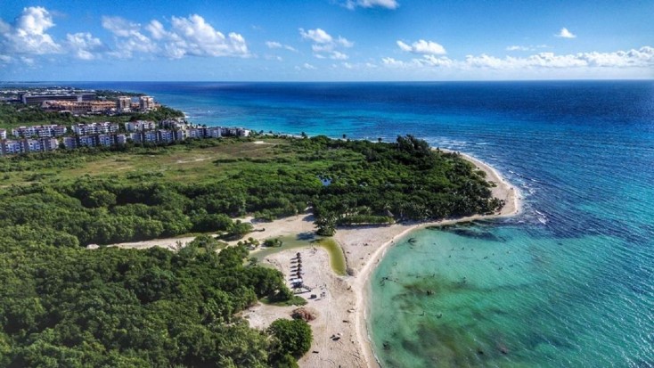 De México a Reino Unido: Cofepris niega presencia de la Cyclospora en la Riviera Maya y Cancún