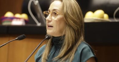 En el limbo el reglamento de la Ley de acceso de las mujeres a una vida libre de violencia  