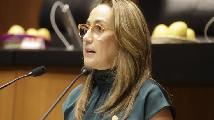 En el limbo el reglamento de la Ley de acceso de las mujeres a una vida libre de violencia  