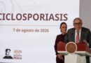 Estudio de lechuga de Guanajuato no muestra brote de Ciclosporiasis: Cofepris; chiles jalapeños en análisis