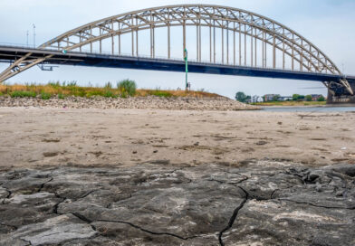 Europa se seca: sin agua ni energía en plena ola de calor