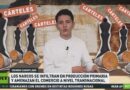 Extorsión, tala y pesca: los nuevos negocios del crimen organizado