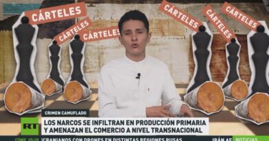 Extorsión, tala y pesca: los nuevos negocios del crimen organizado