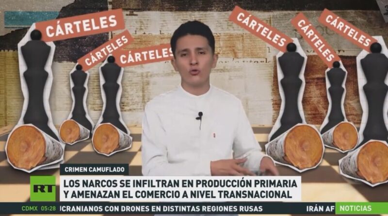 Extorsión, tala y pesca: los nuevos negocios del crimen organizado