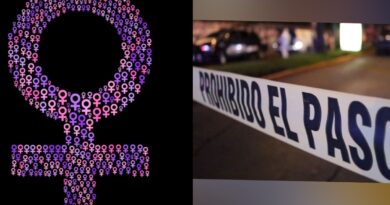 Artículos de la iniciativa de ley de Sheinbaum pretende suprimir delito de feminicidio y marginar a las ONGS