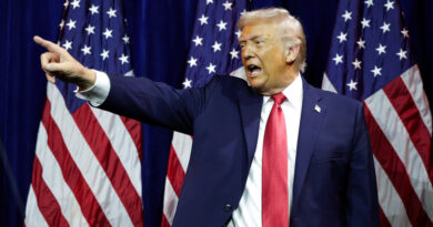 Rudeza innecesaria: Ford y Trump escalan la guerra comercial con insultos y amenazas económicas