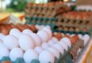 Retiran 19 millones de huevos por Salmonela del mercado en seis estados de EU