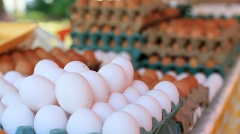 Retiran 19 millones de huevos por Salmonela del mercado en seis estados de EU