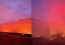 Fuego consume una nave de 100 metros en granja Alpera en Tepic; 7 mil pollos pierden la vida