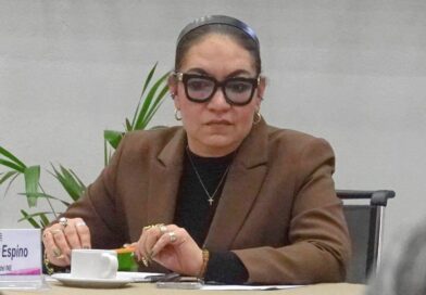 INE: renuncia irrevocable de la secretaria ejecutiva obliga a nombrar encargado de despacho