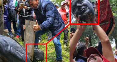 Manifestantes del SME destruyen efigie de Calderón tras protesta en Reforma