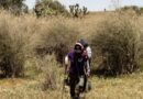 ONU pide garantías y protección ante asesinatos y desapariciones de buscadoras