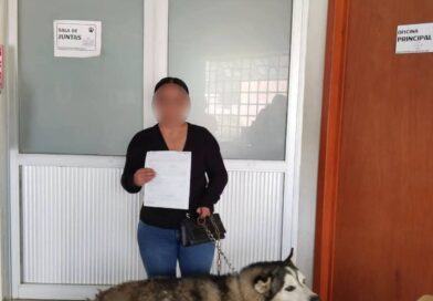 Perros y gatos bajo resguardo encuentran hogar: Salud Municipal reporta 51 adopciones