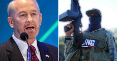 Sheinbaum debe incautar los dineros ilícitos de los cárteles para golpear las redes criminales: Johnson