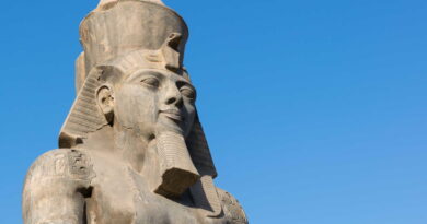 Agricultor descubre enorme reliquia de Ramsés II mientras cultivaba pepinos en Egipto