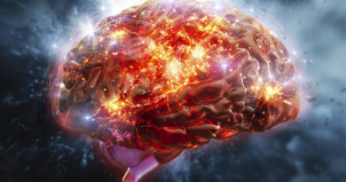 Ciencia detecta 539 zonas químicas inéditas en el cerebro; IA revela regiones lipídicas ocultas